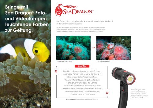 Sealife Katalog 2021