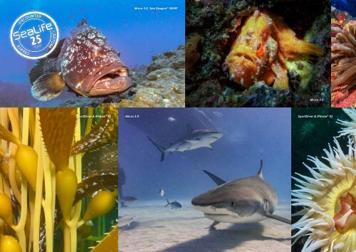 Sealife Katalog 2021