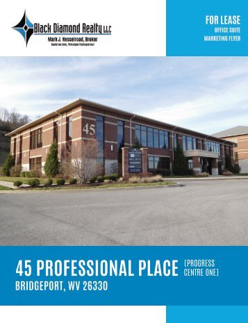 45 Professional Place Marketing Flyer