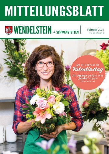 Wendelstein-Schwanstetten - Februar 2021