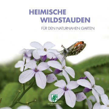 Heimische Wildstauden_Web