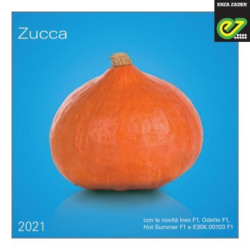 Brochure Zucca