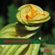 Garten 2021 - Gärtnerei Pfandl - yumpu-online