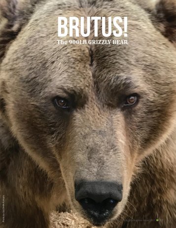 Issue_02_ Spring 2017 _PART ONE OF BRUTUS
