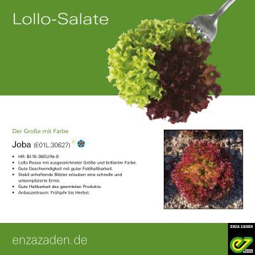 Lollo-Salate 2021