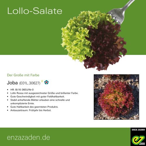 Lollo-Salate 2021