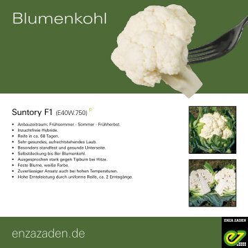 Blumenkohl 2021