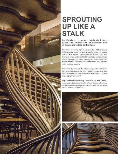 Wood In Architecture Issue 2, 2018