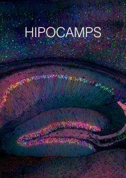 21Catálogo Hipocamps Edición digital-1