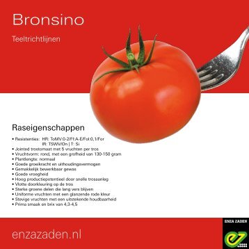 Teeltrichtlijnen Bronsino