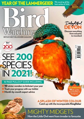 Bird Watching Feb 21 mini-mag