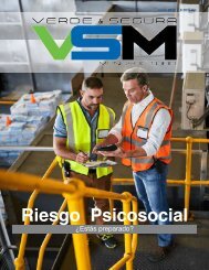 Edición 2. Junio 2017. Revista Verde & Segura Manufactura