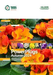 PowerPlugs Autumn 2025