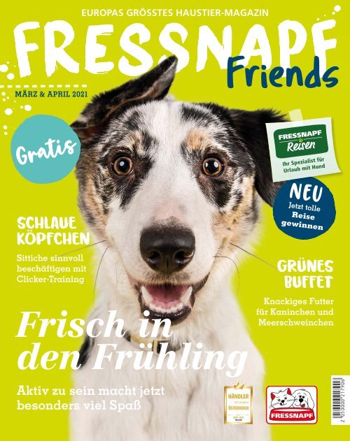 hundefutter inhaltsstoffe Nassfutter Probierpaket für Hunde | 100% Bio main image 1