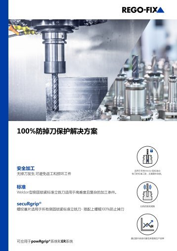 secuRgrip® Flyer CHINESE