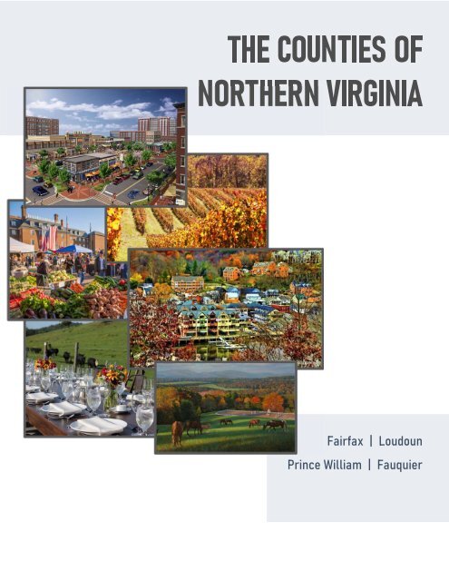 2021-01 -- Real Estate of Northern Virginia Market Report - January 2021 Real Estate Trends - Michele Hudnall