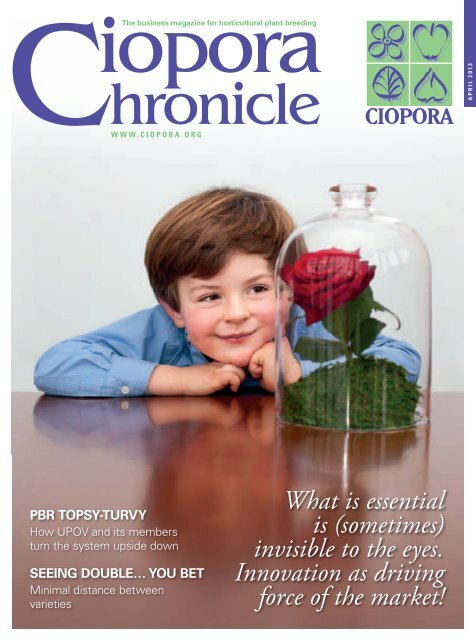 2013 CIOPORA Chronicle 