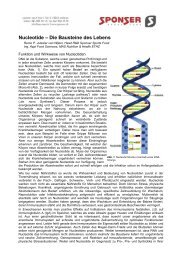 Nucleotide – Die Bausteine des Lebens - Sponser