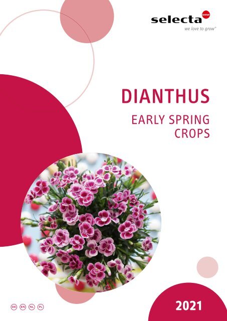 selecta Dianthus Early Spring 2021 NE 