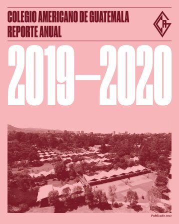 Reporte Anual 2019 - 2020