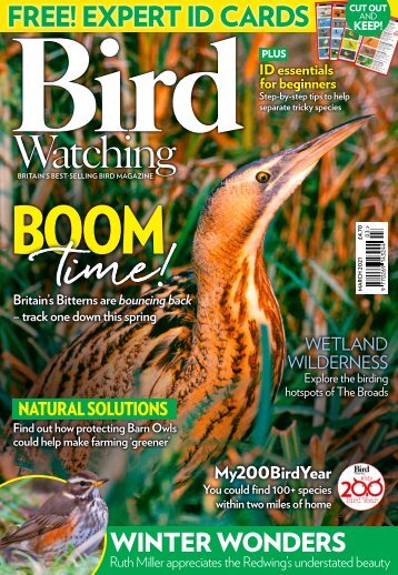 Bird Watching Mar 21 mini-mag