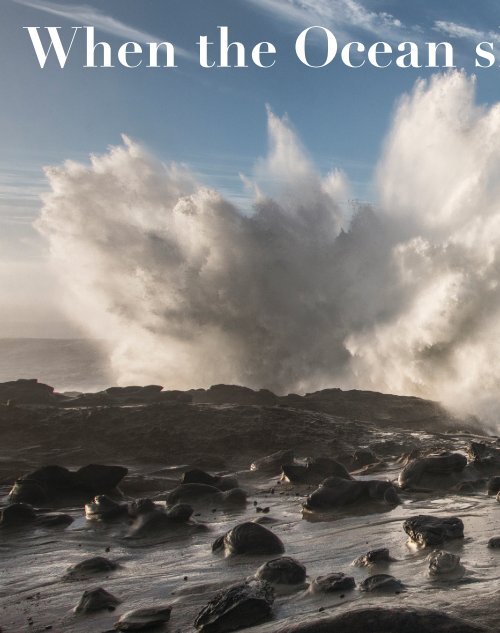 Oregon Coast Waves - 1.8