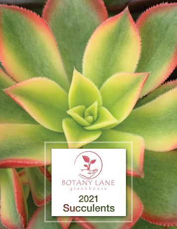 2021 Succulents