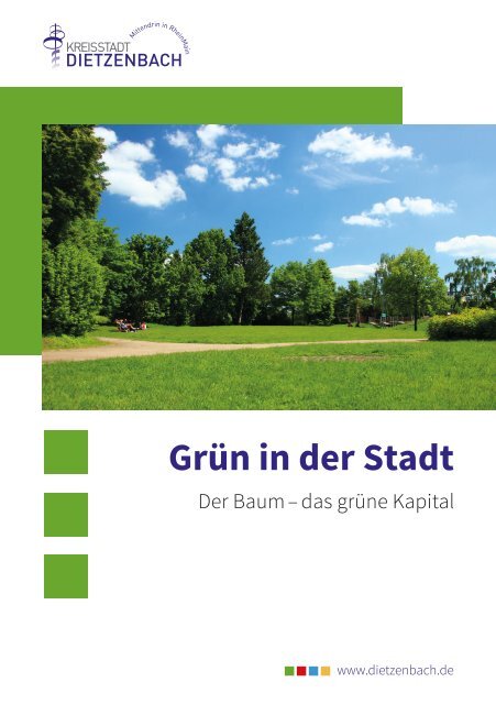 Grün in der Stadt - Bäume