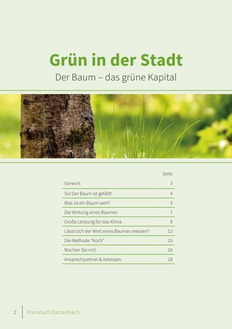 Grün in der Stadt - Bäume