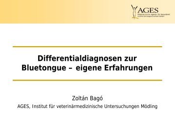 Differentialdiagnosen BTV (pdf)
