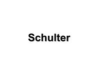 Schulter - Annastift