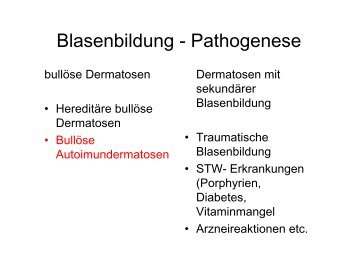 Blasenbildung - Pathogenese
