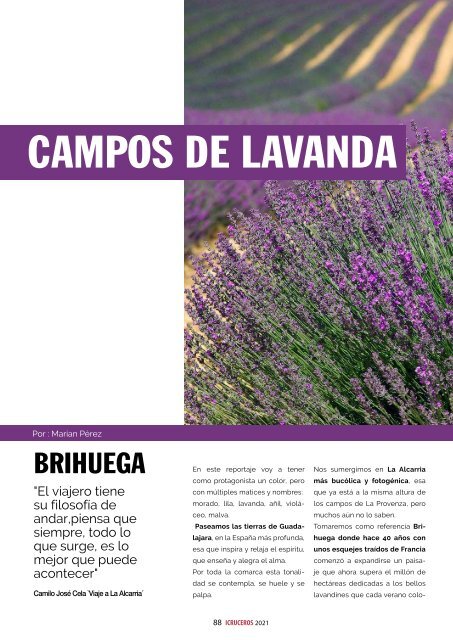 Revista iCruceros n 36