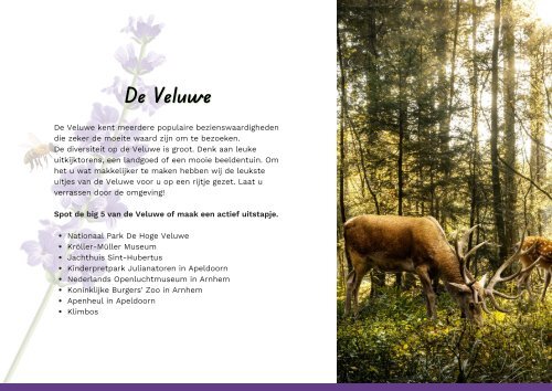 Brochure vakantiehuizen De Rimboe & Woeste Hoogte