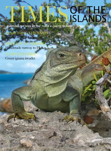 Times of the Islands Spring 2021