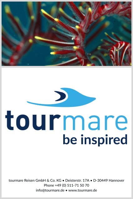 Tauchsafari Malediven Sonderreise