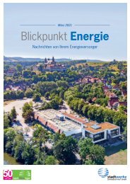 Blickpunkt Energie Ausgabe 01/2021