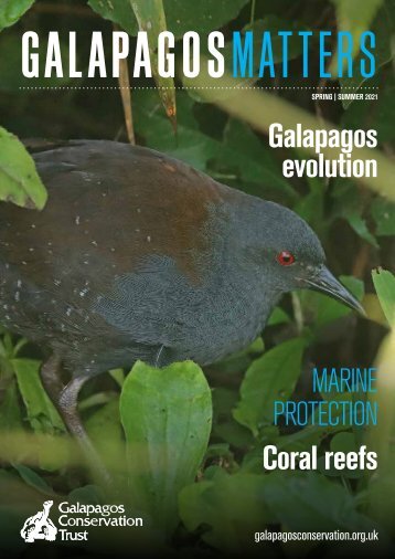 Spring/Summer 2021 - Galapagos Matters Magazine - Galapagos Conservation Trust