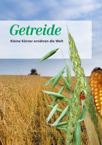 Getreide - Kleine Körner erklären die Welt
