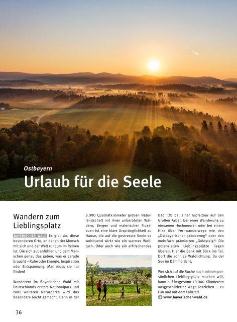 BAYERN-Magazin Frühjahr|Sommer 2021