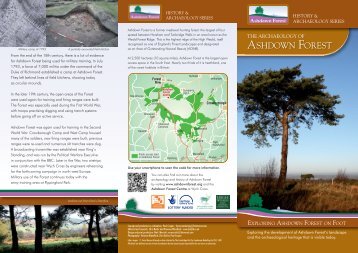 Looking out from King's Standing - Ashdown Forest