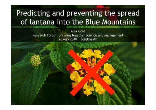 Predicting and preventing the spread of lantana into the Blue ...