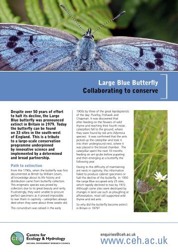 Large Blue Butterfly: Collaborating to Conserve - Centre for Ecology ...