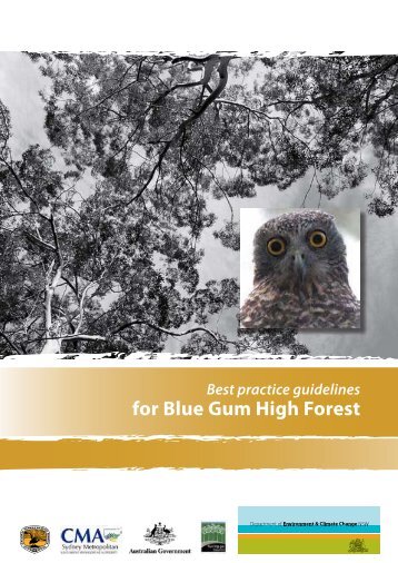 Best practice guidelines for Blue Gum High Forest - Department of ...
