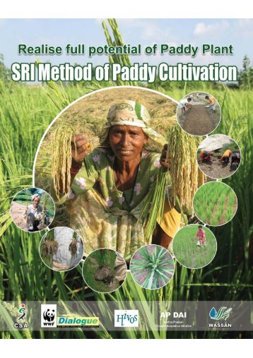 SRI Method of Paddy Cultivation - WASSAN