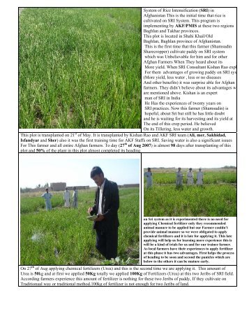 System of Rice Intensification (SRI) in Afghanistan This is the initial ...