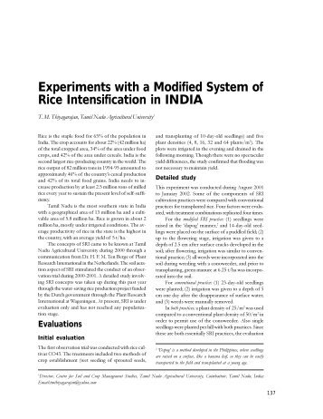 Experiments with a Modified System of Rice Intensification - Cornell ...