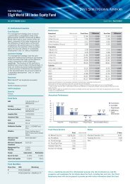 SSgA World SRI Index Equity Fund,Sep2012 - Index People