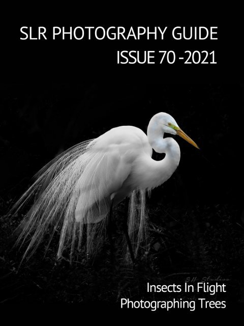 SLR Photography Guide - Issue 70