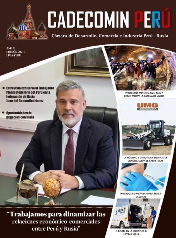 REVISTA CADECOMINPERU 2021-1